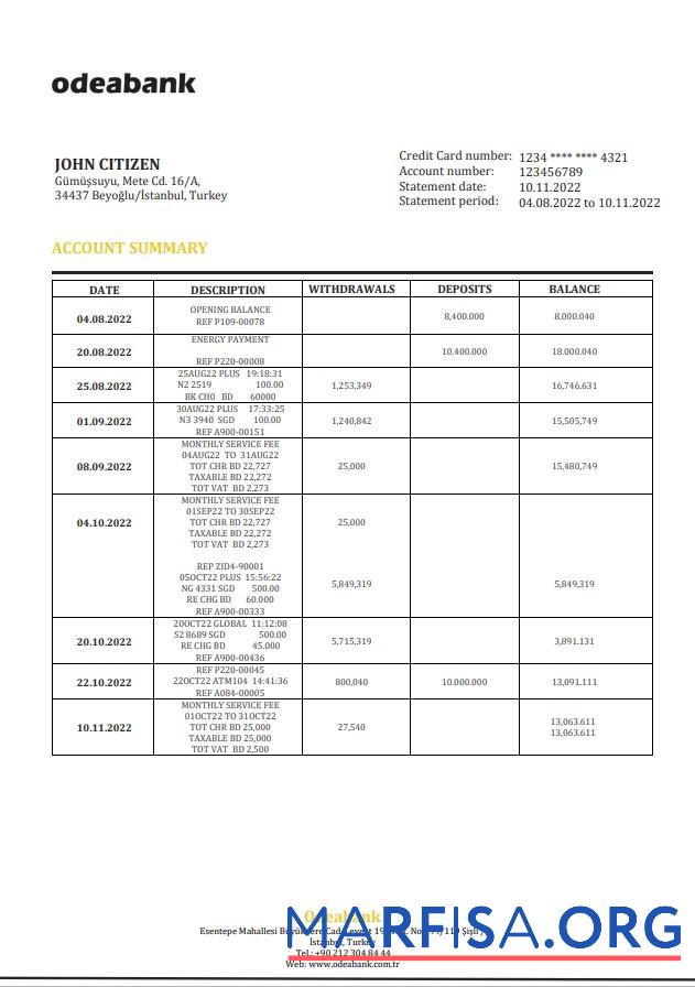 Blank Turkey Odeabank bank statement word template
